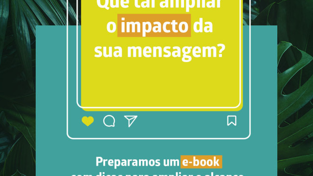 Divulgação e-book